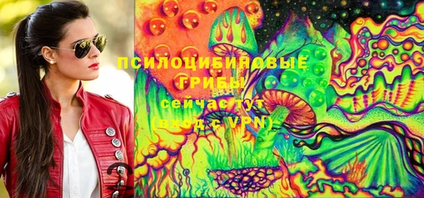 хмурый Верхний Тагил