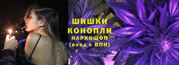 ПСИЛОЦИБИНОВЫЕ ГРИБЫ Верея