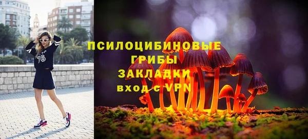 ПСИЛОЦИБИНОВЫЕ ГРИБЫ Верея