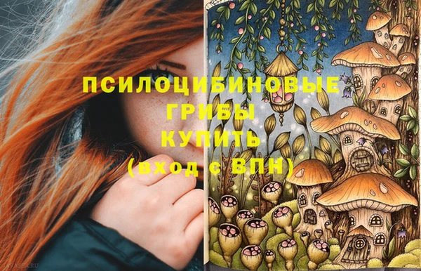 хмурый Верхний Тагил