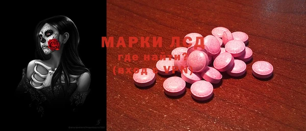 ПСИЛОЦИБИНОВЫЕ ГРИБЫ Верея